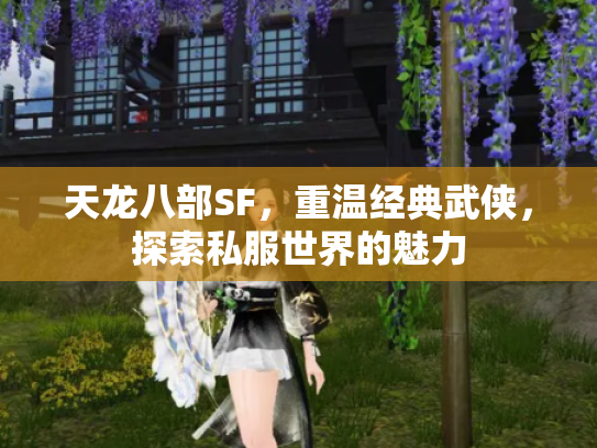 天龙八部SF，重温经典武侠，探索私服世界的魅力