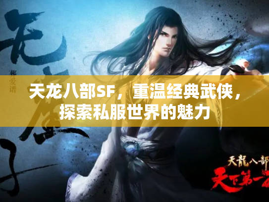 天龙八部SF，重温经典武侠，探索私服世界的魅力