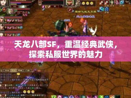 天龙八部SF，重温经典武侠，探索私服世界的魅力