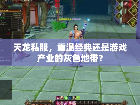 天龙私服，重温经典还是游戏产业的灰色地带？