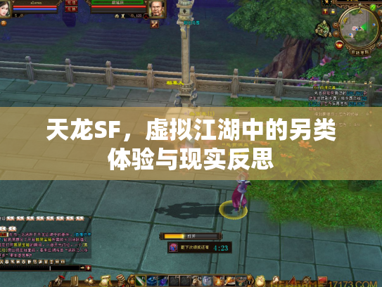 天龙SF，虚拟江湖中的另类体验与现实反思