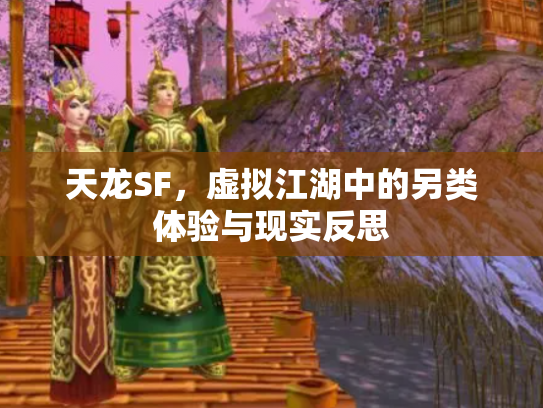 天龙SF，虚拟江湖中的另类体验与现实反思