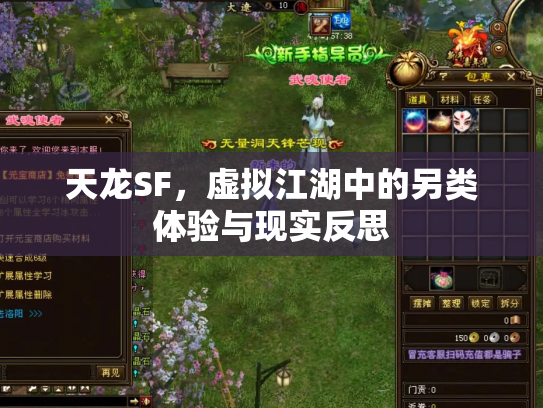 天龙SF，虚拟江湖中的另类体验与现实反思