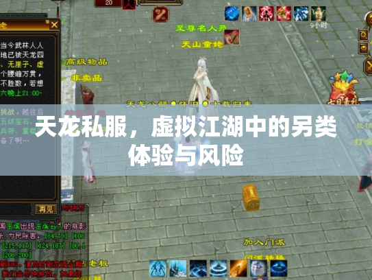 天龙私服，虚拟江湖中的另类体验与风险