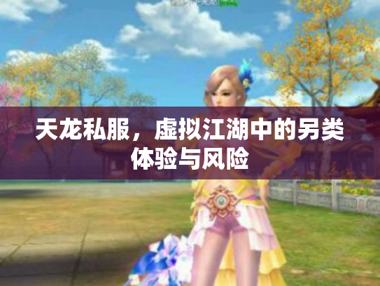 天龙私服，虚拟江湖中的另类体验与风险