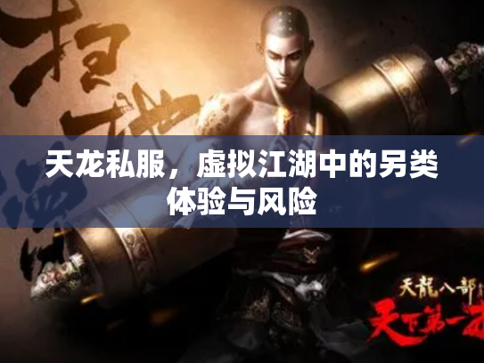 天龙私服，虚拟江湖中的另类体验与风险