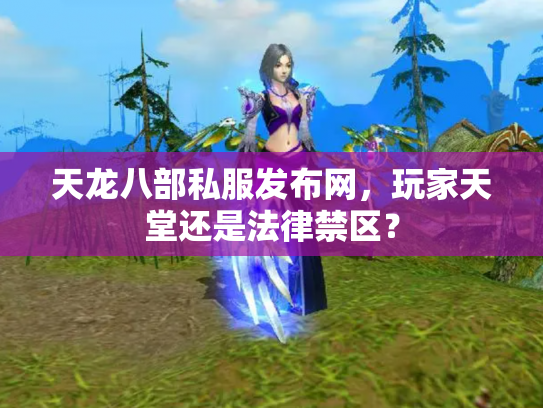 天龙八部私服发布网，玩家天堂还是法律禁区？