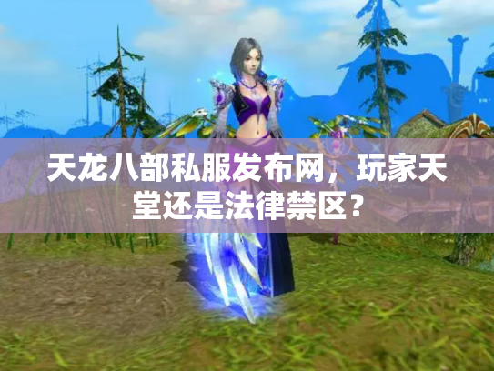 天龙八部私服发布网，玩家天堂还是法律禁区？