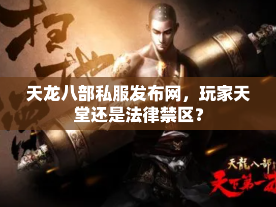 天龙八部私服发布网，玩家天堂还是法律禁区？