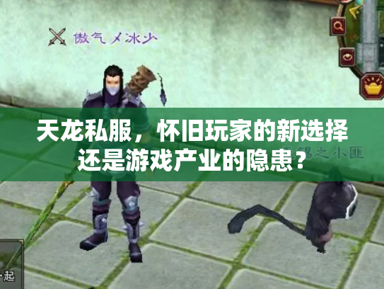 天龙私服，怀旧玩家的新选择还是游戏产业的隐患？
