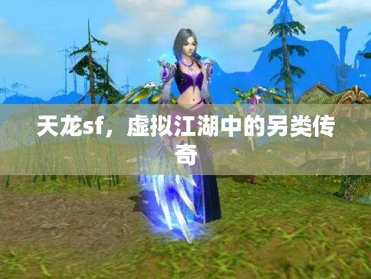 天龙sf，虚拟江湖中的另类传奇