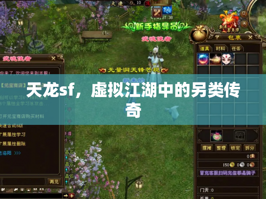 天龙sf，虚拟江湖中的另类传奇