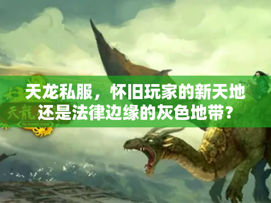 天龙私服，怀旧玩家的新天地还是法律边缘的灰色地带？