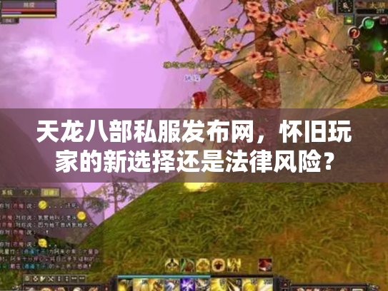 天龙八部私服发布网，怀旧玩家的新选择还是法律风险？