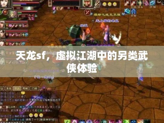 天龙sf，虚拟江湖中的另类武侠体验