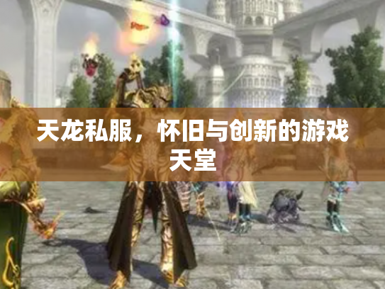 天龙私服，怀旧与创新的游戏天堂