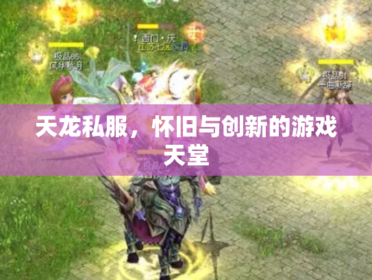 天龙私服，怀旧与创新的游戏天堂