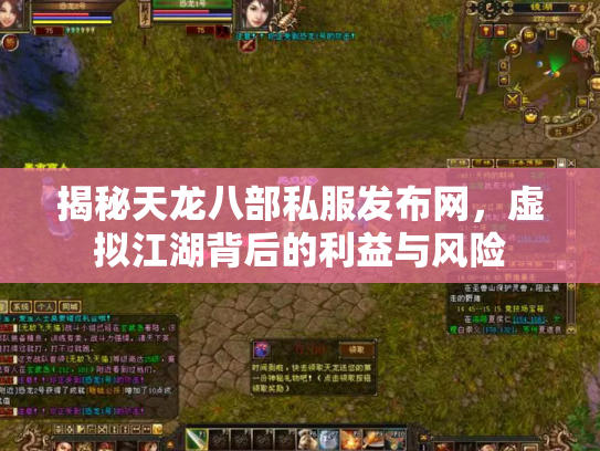 揭秘天龙八部私服发布网，虚拟江湖背后的利益与风险