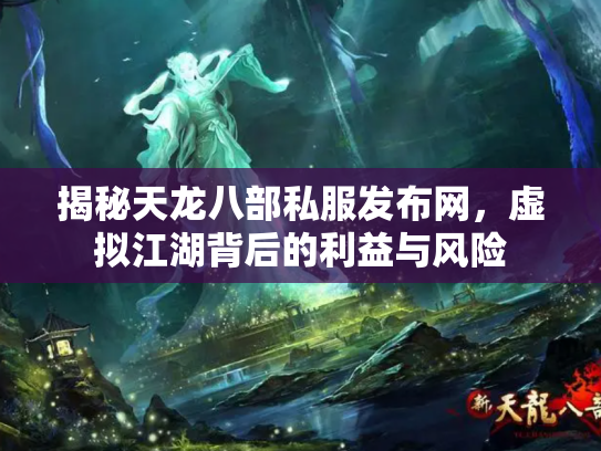 揭秘天龙八部私服发布网，虚拟江湖背后的利益与风险