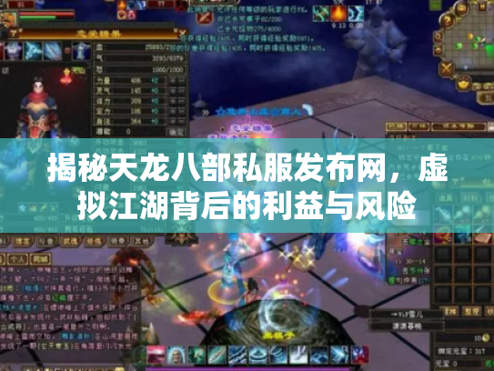 揭秘天龙八部私服发布网，虚拟江湖背后的利益与风险