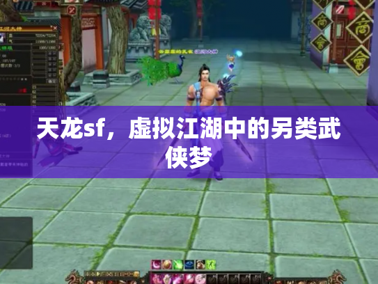 天龙sf，虚拟江湖中的另类武侠梦