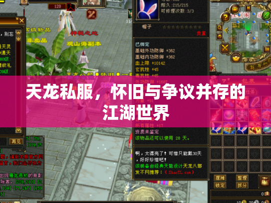 天龙私服，怀旧与争议并存的江湖世界