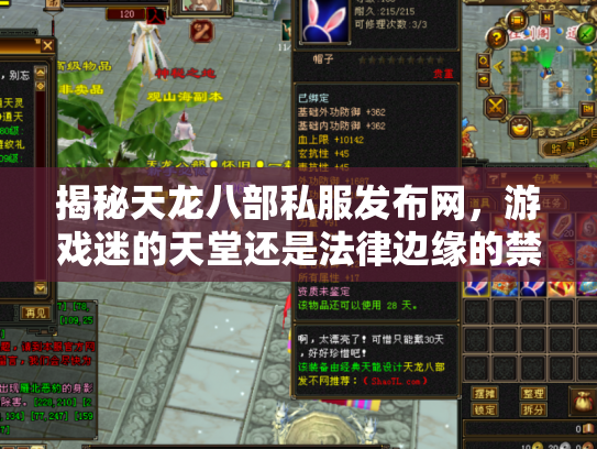 揭秘天龙八部私服发布网，游戏迷的天堂还是法律边缘的禁区？