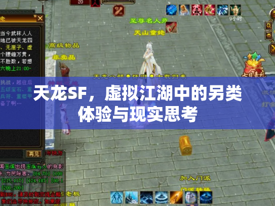 天龙SF，虚拟江湖中的另类体验与现实思考