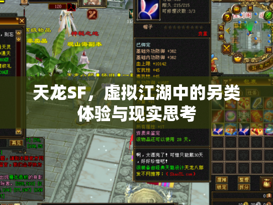 天龙SF，虚拟江湖中的另类体验与现实思考