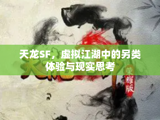 天龙SF，虚拟江湖中的另类体验与现实思考