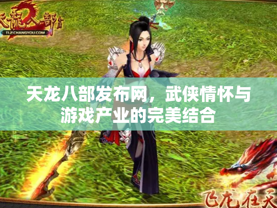 天龙八部发布网，武侠情怀与游戏产业的完美结合