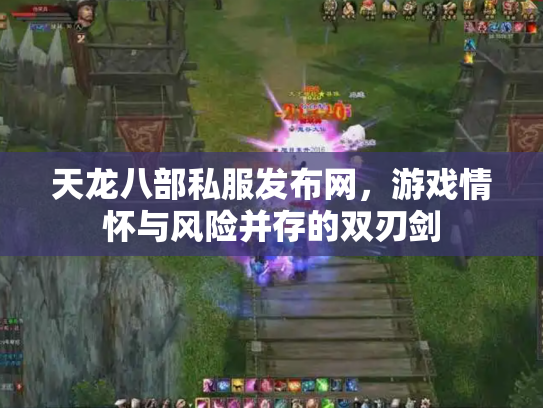 天龙八部私服发布网，游戏情怀与风险并存的双刃剑
