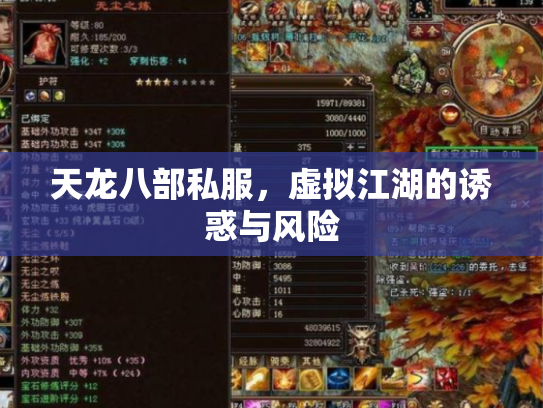 天龙八部私服，虚拟江湖的诱惑与风险
