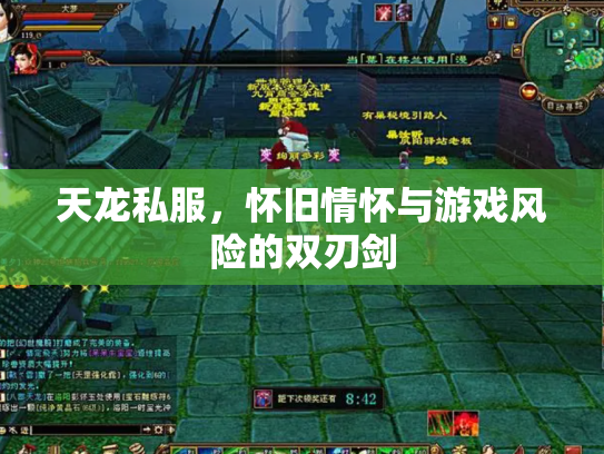 天龙私服，怀旧情怀与游戏风险的双刃剑