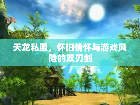 天龙私服，怀旧情怀与游戏风险的双刃剑