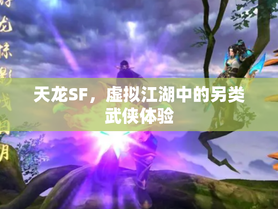 天龙SF，虚拟江湖中的另类武侠体验