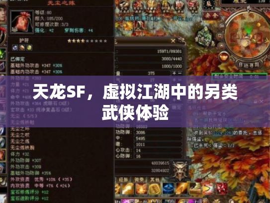天龙SF，虚拟江湖中的另类武侠体验