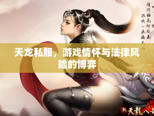 天龙私服，游戏情怀与法律风险的博弈