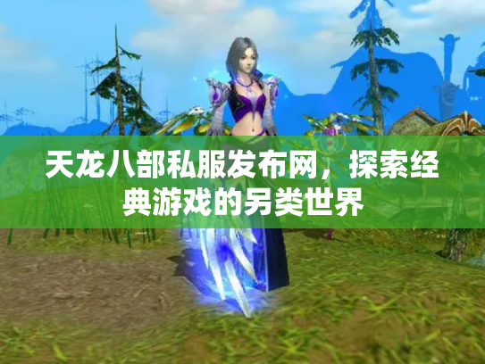 天龙八部私服发布网，探索经典游戏的另类世界