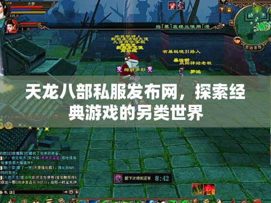 天龙八部私服发布网，探索经典游戏的另类世界