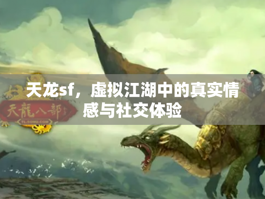 天龙sf，虚拟江湖中的真实情感与社交体验