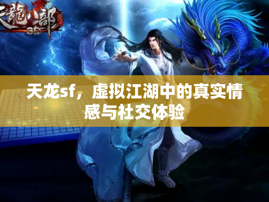 天龙sf，虚拟江湖中的真实情感与社交体验