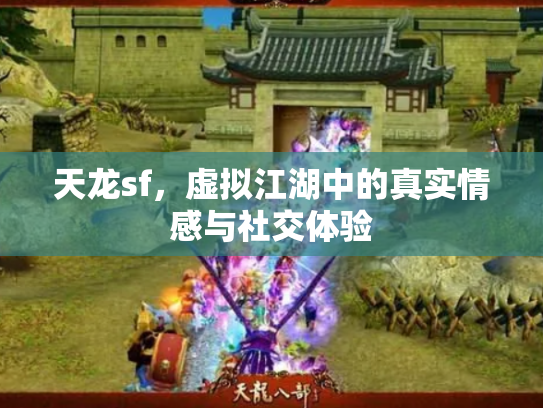 天龙sf，虚拟江湖中的真实情感与社交体验