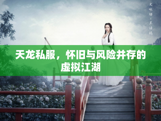 天龙私服，怀旧与风险并存的虚拟江湖