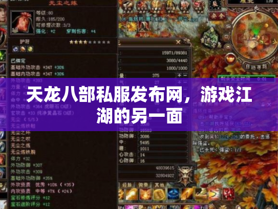 天龙八部私服发布网，游戏江湖的另一面
