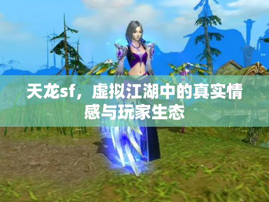 天龙sf，虚拟江湖中的真实情感与玩家生态