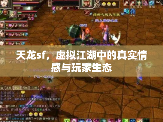 天龙sf，虚拟江湖中的真实情感与玩家生态