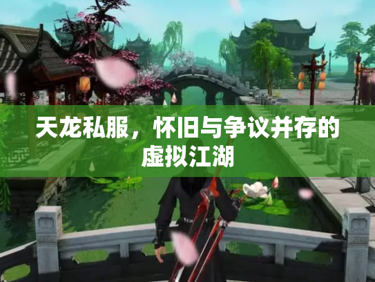 天龙私服，怀旧与争议并存的虚拟江湖