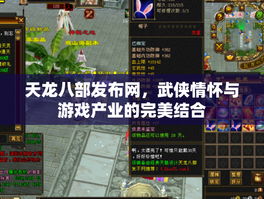 天龙八部发布网，武侠情怀与游戏产业的完美结合