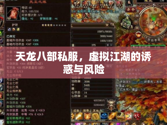 天龙八部私服，虚拟江湖的诱惑与风险